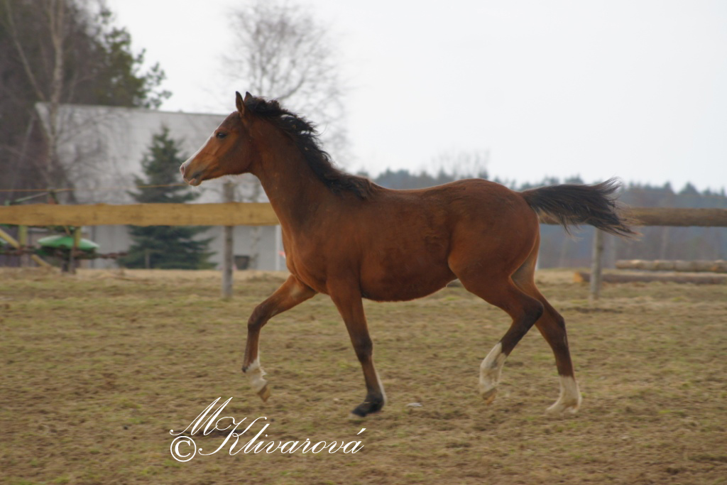DSC09459 kopie