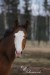 DSC09528 kopie