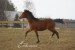 DSC09459 kopie